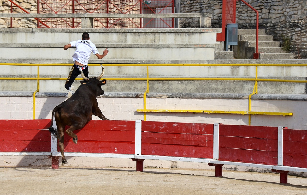 小将