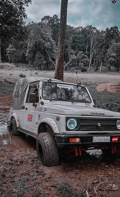 发广泛关注 发广泛关注