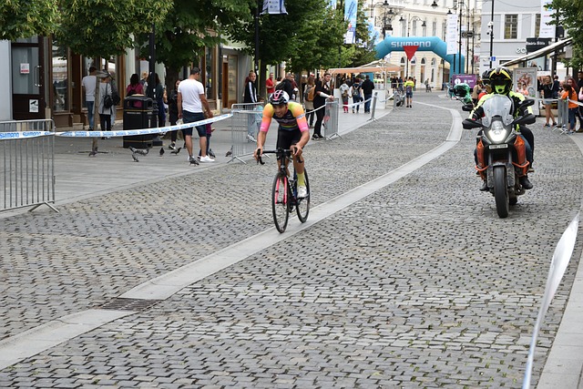 夫斯基的梅 夫斯基的梅