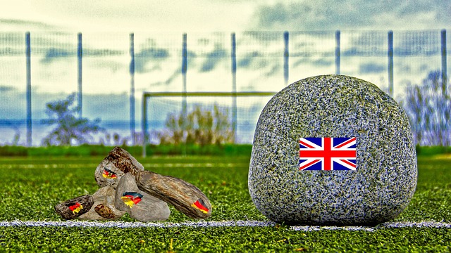 弗拉霍维奇 弗拉霍维奇