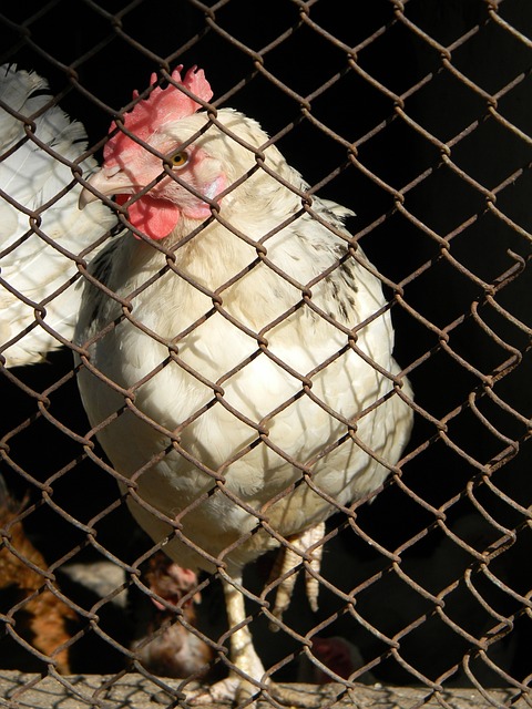 还有待提升 还有待提升