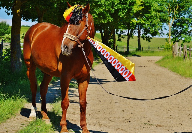 内马尔和梅 内马尔和梅