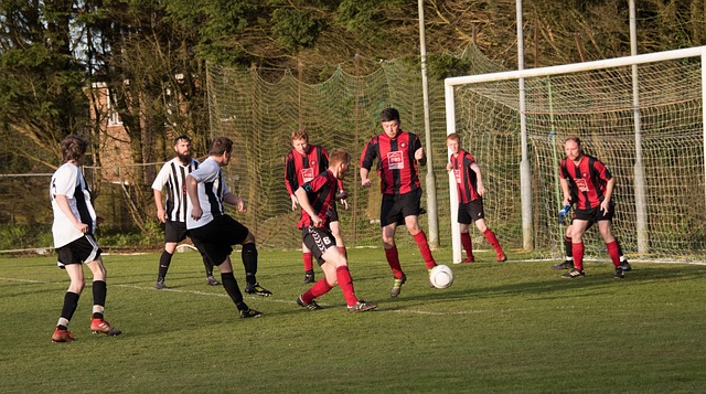 拦网效果也 拦网效果也